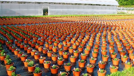     “The best time to plant a tree was 20 years ago. The second best time is now.” – Chinese Proverb